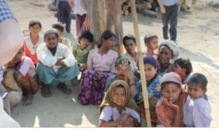 هل ينجو الروهينجا ؟