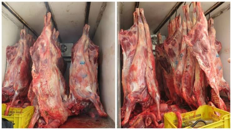 لحوم الحمير الاكثر مبيعاً في هذا البلد العربي، والسبب ! 