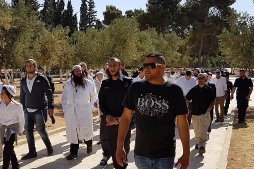 بمجموعات صغير.. 90 مستوطنا يقتحمون الأقصى