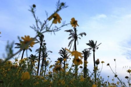 حالة الطقس حتى الخميس المقبل