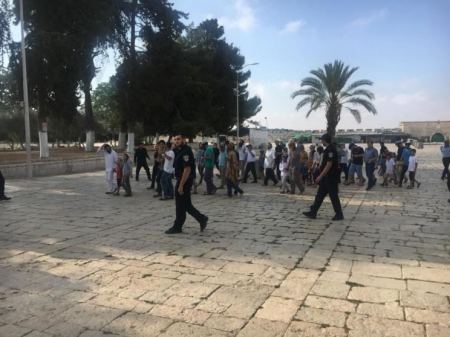 اصابات واعتقالات.. الأقصى يشهد استباحات واسعة