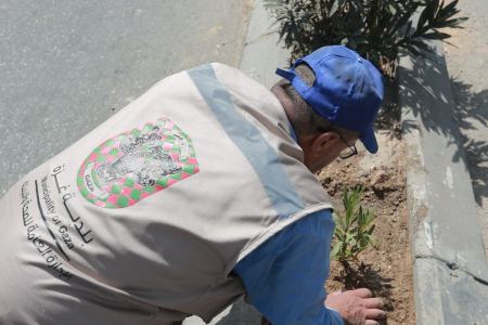 بلدية غزة تزرع 4200 شتلة خلال الشهر الماضي