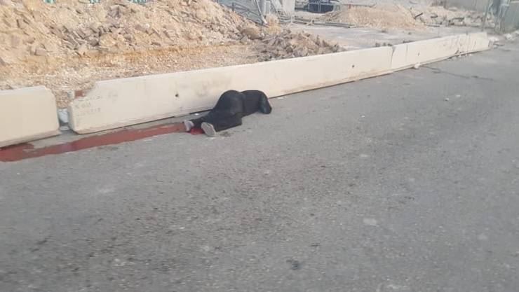 شهيدة على حاجز قلنديا .. تُركت تنزف حتى الموت