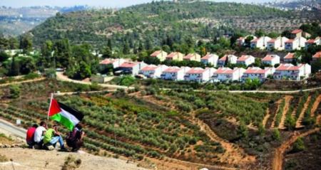  تقرير: الاحتلال يحتال لسرقة أراضي الفلسطينيين