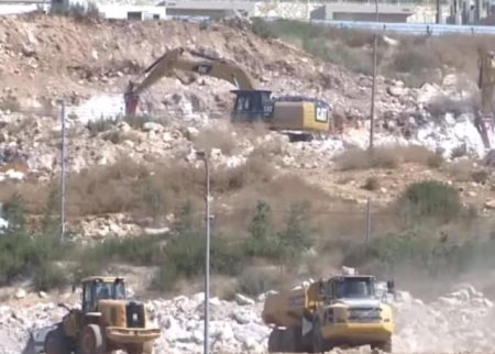 الاحتلال يقتلع 200 شجرة في بلدة حزما