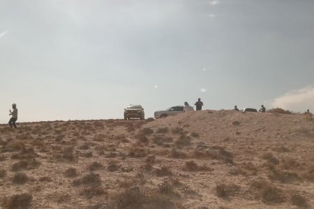 الاتحاد الأوروبي يدعو سلطات الاحتلال إلى "اتخاذ إجراءات ضد المستوطنين"