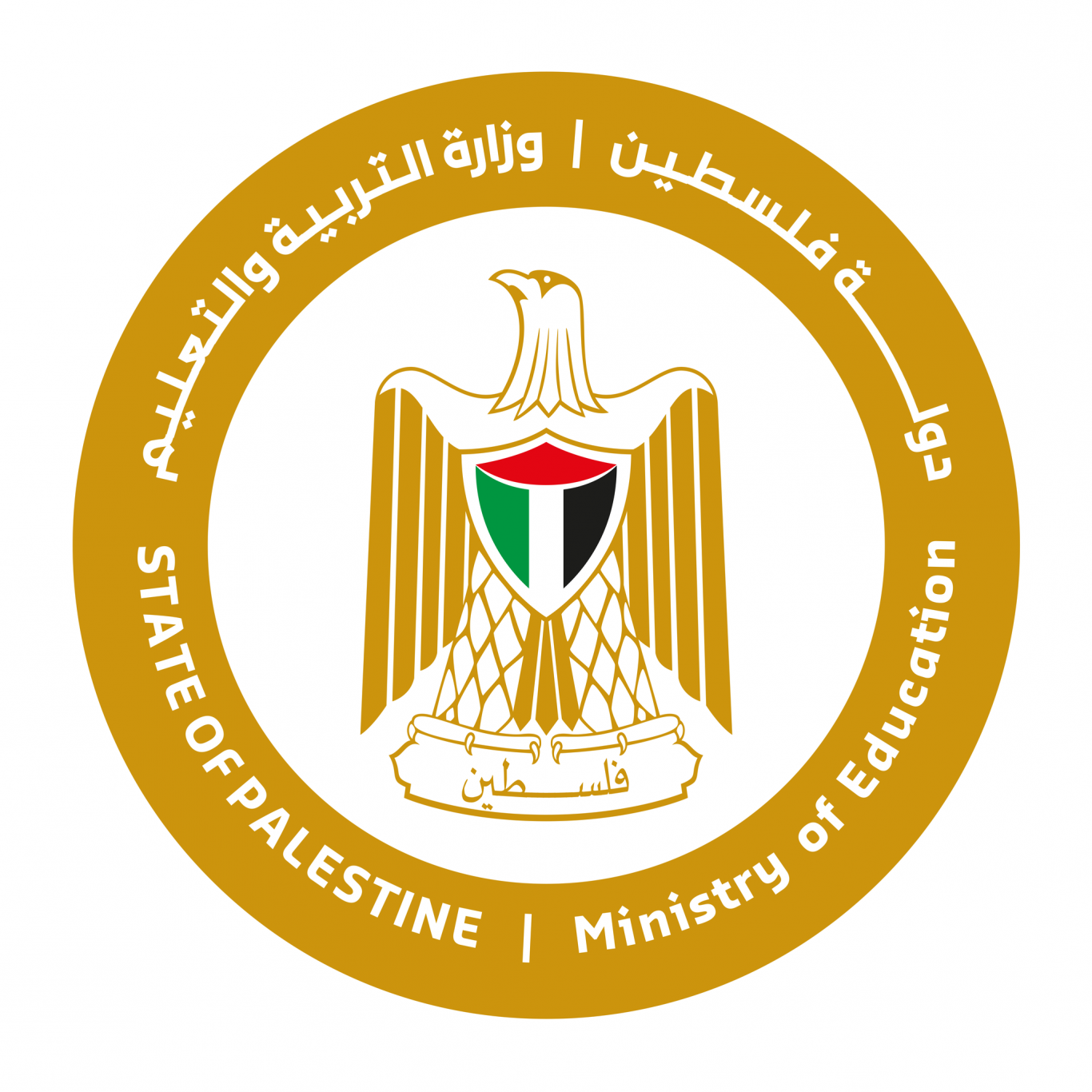 التعليم العالي