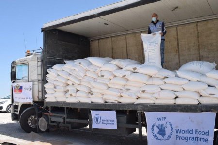"الأغذية العالمي": خفض مساعداتنا يحرم 200 ألف فلسطيني من مساعدات غذائية
