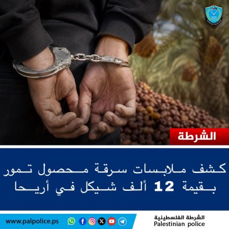  كشف ملابسات سرقة محصول تمور في أريحا