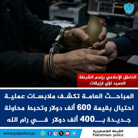 كشف ملابسات عملية نصب واحتيال بقيمة نحو 600 ألف دولار