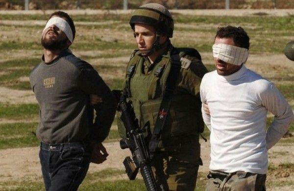 اثناء توجههما لقطف الزيتون.. الاحتلال يعتقل شابين شرق قلقيلية