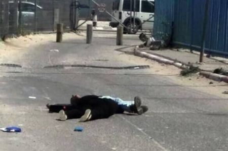 هآرتس ستنشر فيديو يوثق اعدام مرام وابراهيم طه