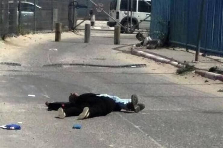 هآرتس ستنشر فيديو يوثق اعدام مرام وابراهيم طه