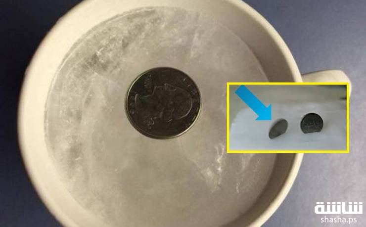 ضع عملة معدنية في الثلاجة قبل خروجك من المنزل و السبب مفاجأة