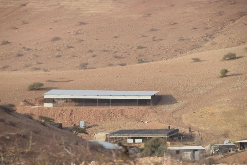 الاحتلال يستولي على شاحنة ويحتجز عمالا ورعاة في الأغوار الشمالية