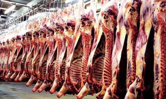 التحفظ على إحدى الذبائح و مراقبتها في براد المسلخ البلدي