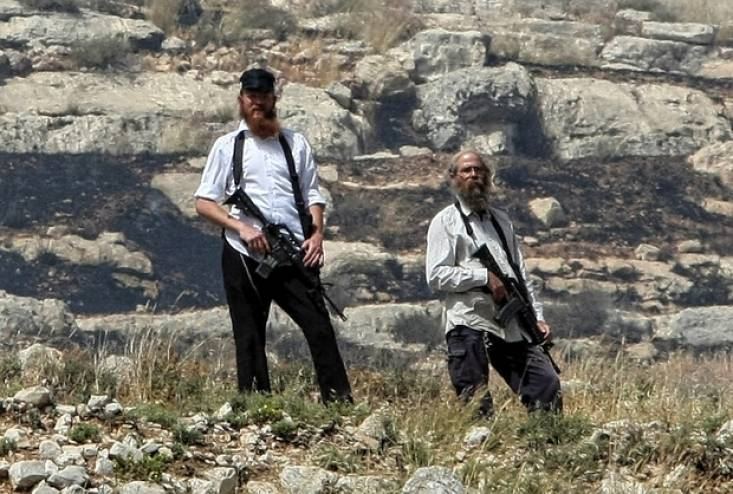  مستوطنون يسرقون الزيتون ويكسرون أغصانه بنابلس