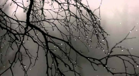 الطقس: أمطار متفرقة حتى نهاية الأسبوع