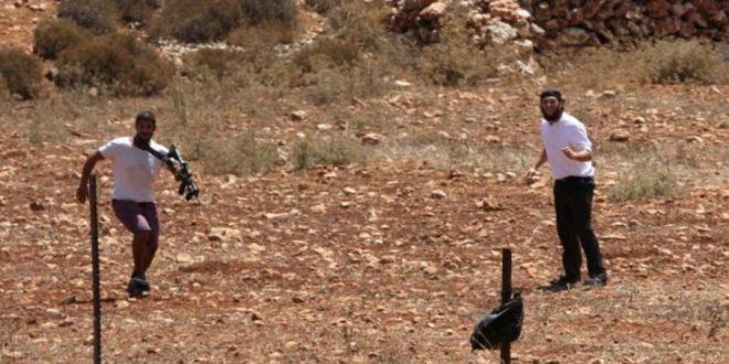 مستوطنون يواصلون تسييج أراض في الفارسية بالأغوار الشمالية
