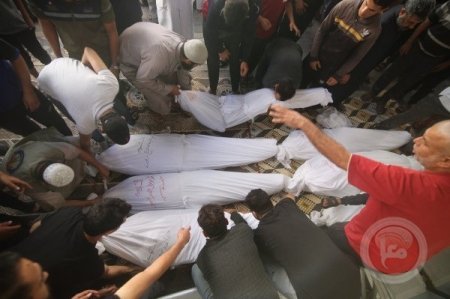 دفن 56شهيدا مجهول الهوية في مقبر جماعية بغزة