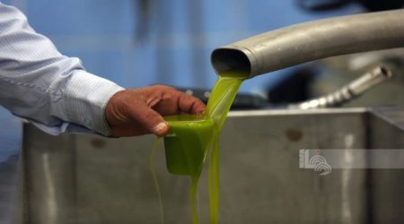 المعابر": السماح بإدخال زيت الزيتون إلى المملكة الأردنية الهاشمية