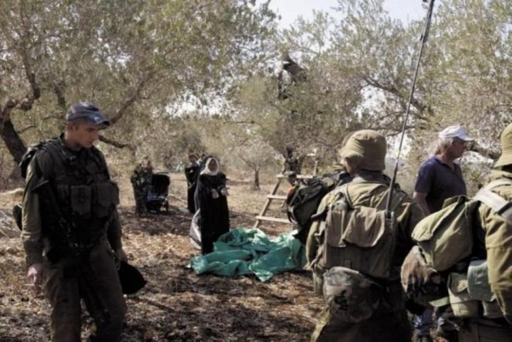 مستعمرون يهاجمون مزارعين في عقربا جنوب نابلس