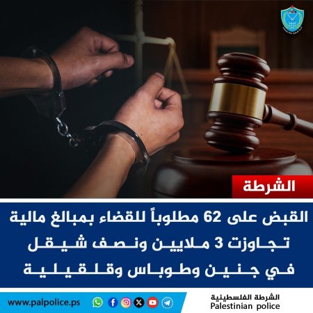 كشف قضايا سرقة وتشهير واطلاق نار في جنين 