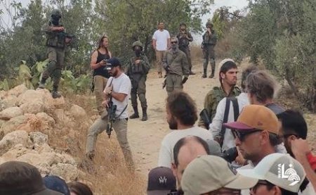 مستعمرون يهاجمون منزلا في بلدة السموع جنوب الخليل