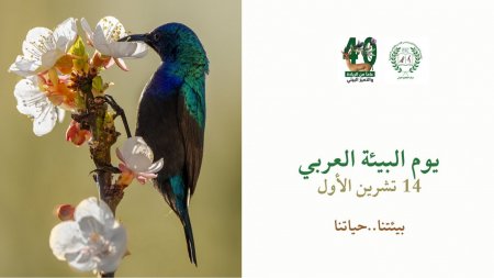 "التعليم البيئي": 14 تشرين الأول فرصة لإطلاق مبادرات بيئية محلية وعربية