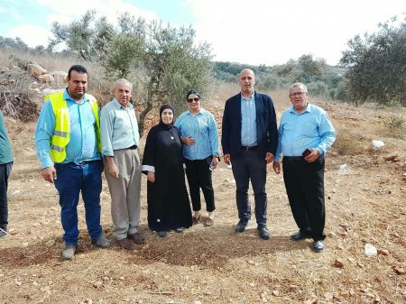 تحت رعاية محافظ جنين أ. كمال أبو الرب .. انطلاق الحملة الوطنية لقطف الزيتون من بلدة قباطية