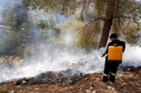 إخماد حريقين في حراج حلحول وعين قعيدة