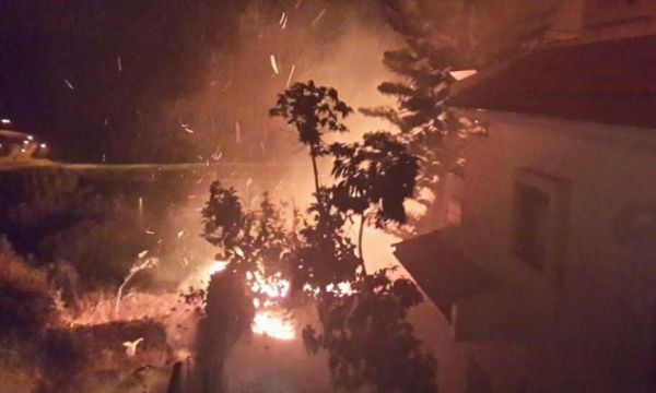 فتح: ما يحترق هو شجرنا وأرضنا الفلسطينية التاريخية