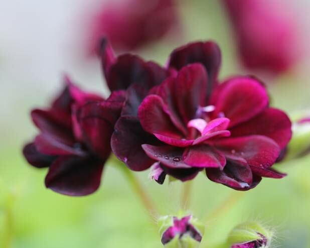 الجو غائم وبارد