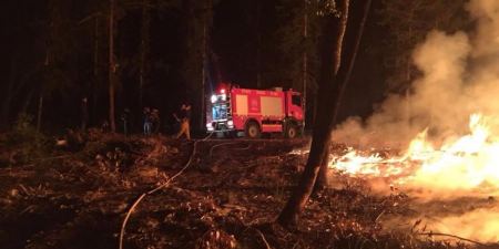 جنين:الدفاع المدني يخمد حريق في أحراش السويطات وينقذ 10 حيوانات