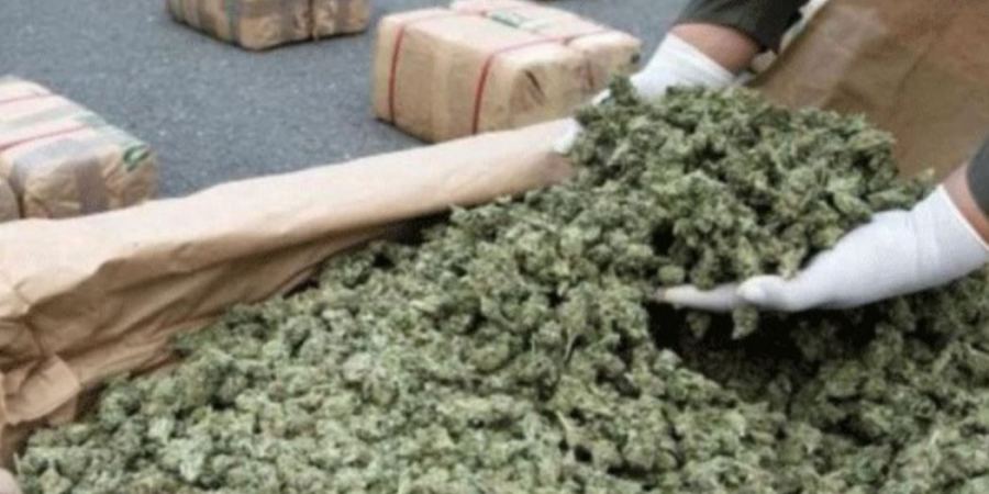 ضبط كيلو ونصف من الماريجوانا في الظاهرية