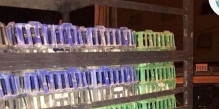 ضبط 2200 طير دجاج لاحم مهرب في محافظات الضفة