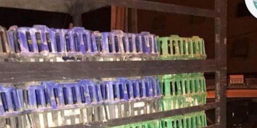  ضبط 2200 طير دجاج لاحم مهرب في محافظات الضفة