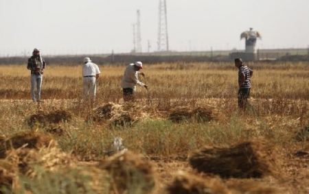 اصابة مزارع برصاص الاحتلال وسط القطاع