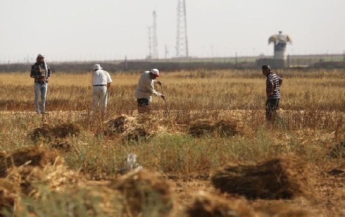 اصابة مزارع برصاص الاحتلال وسط القطاع
