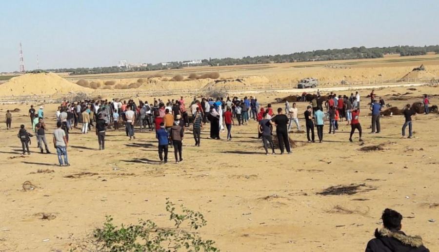إصابات برصاص الاحتلال على حدود قطاع غزة