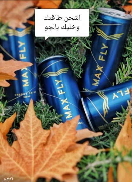 ماكس فلاي