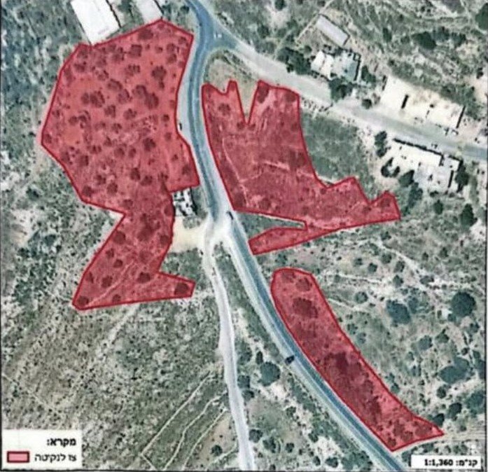 سلطات الاحتلال تصدر قرارا باقتلاع أشجار من أراضي راس كركر وكفر نعمة