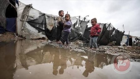 مفوضة أوروبية: يجب تدفق المساعدات الإنسانية إلى غزة كالسيل 