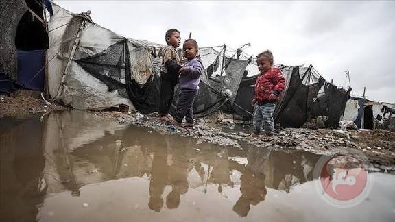 مفوضة أوروبية: يجب تدفق المساعدات الإنسانية إلى غزة كالسيل 