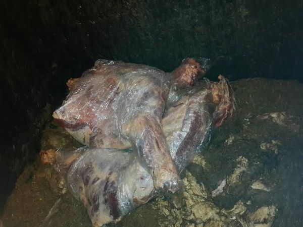 اتلاف مواد تموينية منتهية الصلاحية في جنين