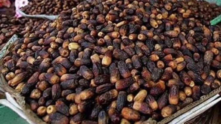 إتلاف 1200 كيلوغرام من البلح الفاسد في جنين