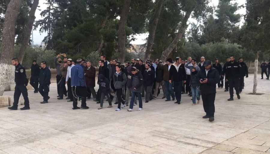 مستوطنون يجددون اقتحامهم للمسجد الأقصى