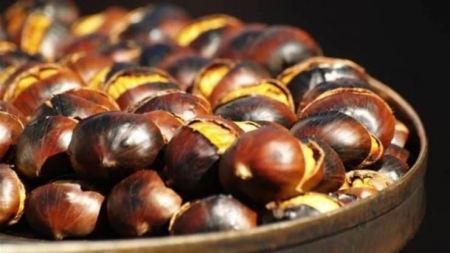 في موسم الكستناء.. اكتشفوا فوائدها الصحية