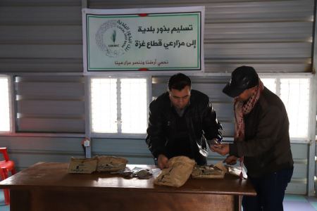  بنك البذور البلدية بالخليل التابع لاتحاد لجان العمل الزراعي يوزع بذور بلدية على مزارعي قطاع غزة