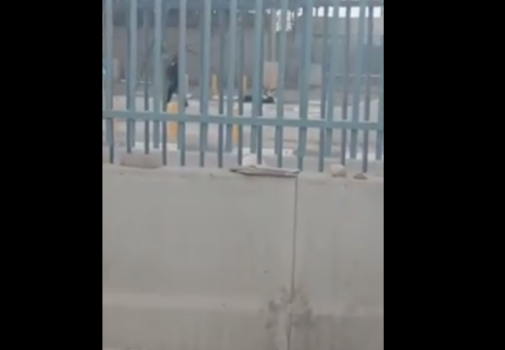 إصابة شاب برصاص الاحتلال عند حاجز قلنديا